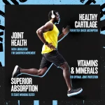 Animal Flex - Image 3