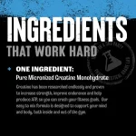 Animal Micronized Creatine - Image 4