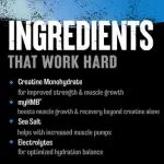 Creatine HMB+ Fruit Punch - Image 2
